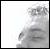 click to enlarge (in a new browser)